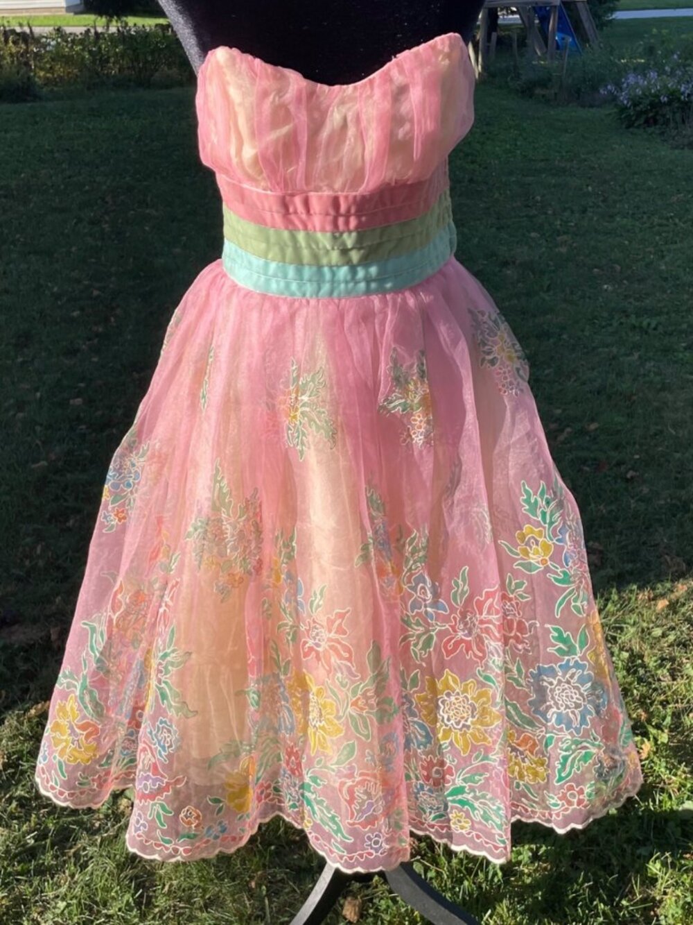 Vintage Y2K Betsey Johnson Dress Tulle Pink Bows Painted Floral Fairy Ethereal S